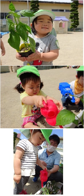空組（１歳児）トマト・パプリカ植え